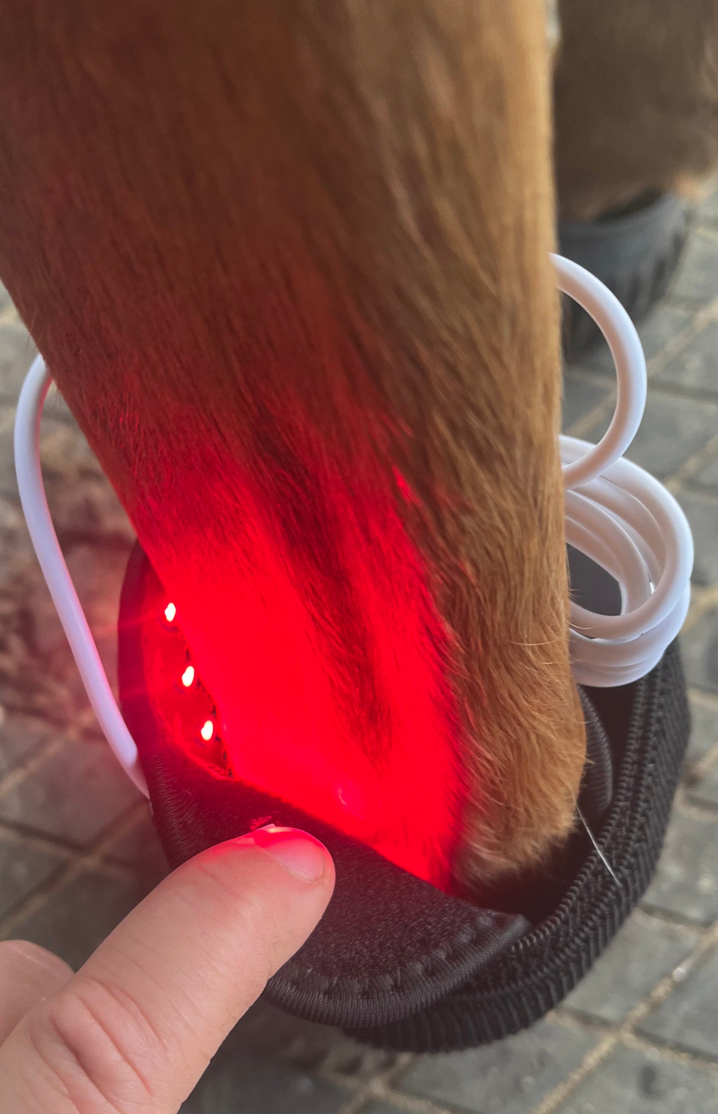 *Xmas Sale*Infrared Red Light Therapy Pad- Small