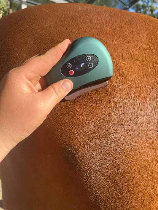 Smart Mini Gus Sha Massage Tool