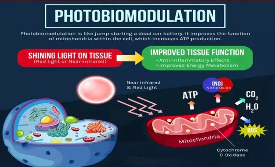 Red Light Therapy Basics Kit